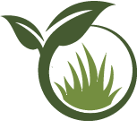 Backyard Renovation Service Pros